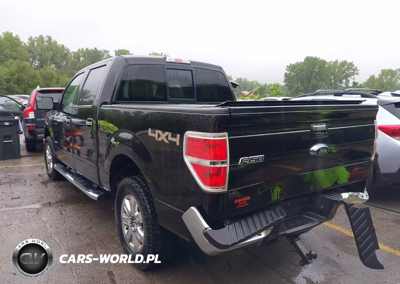 2013 Ford F-150 Xlt VIN:1FTFW1ET8DKF24315 - 3