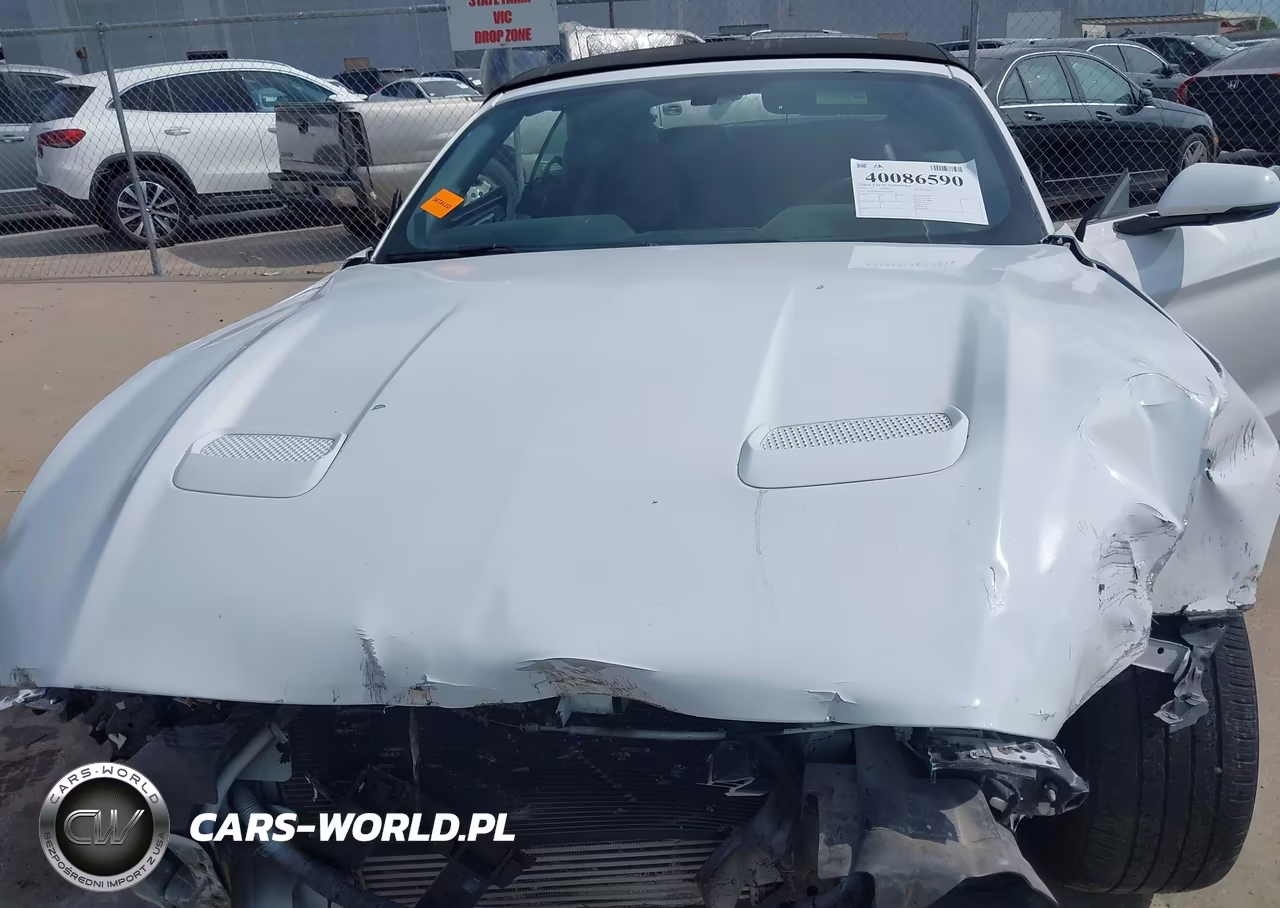 2018 Ford Mustang Ecoboost Premium VIN:1FATP8UH5J5110298 - 10