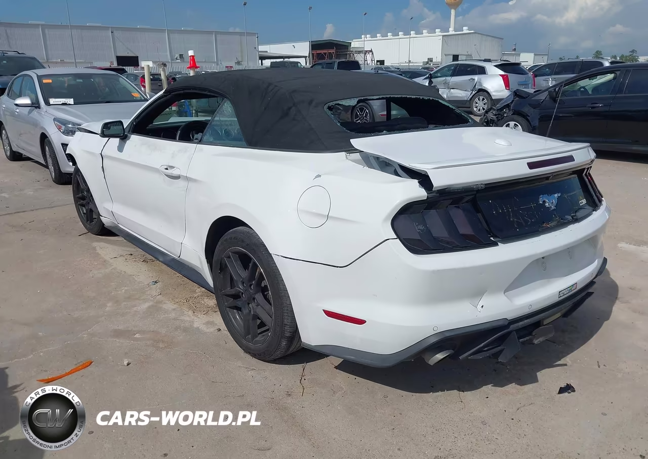2018 Ford Mustang Ecoboost Premium VIN:1FATP8UH5J5110298 - 3