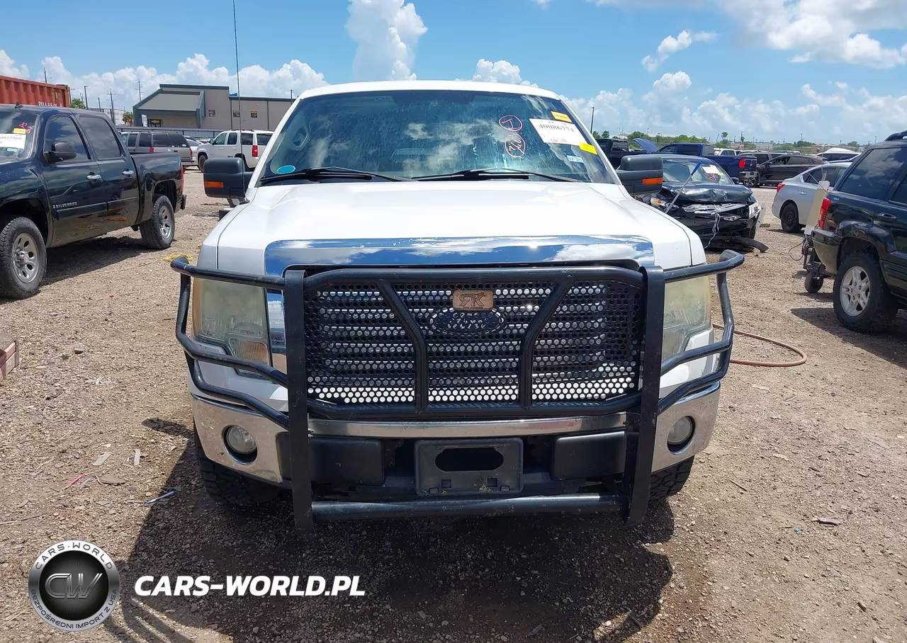 2010 Ford F-150 VIN:1FTEW1C84AFB74177 - 13