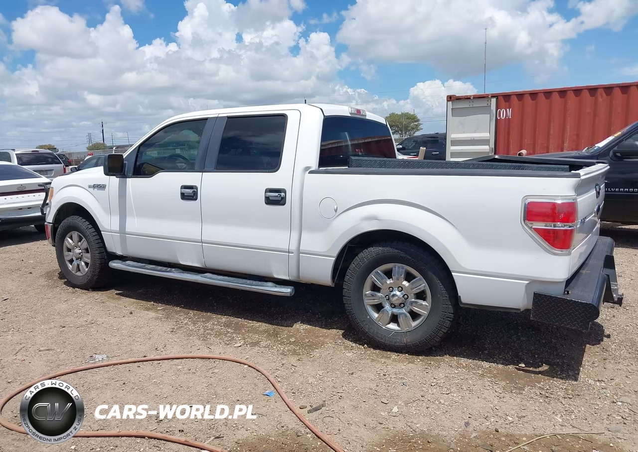 2010 Ford F-150 VIN:1FTEW1C84AFB74177 - 15