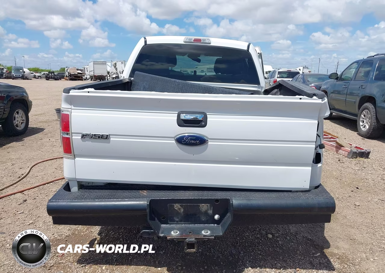2010 Ford F-150 VIN:1FTEW1C84AFB74177 - 17