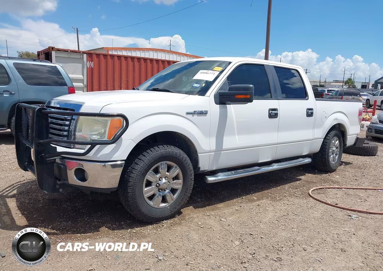 2010 Ford F-150 VIN:1FTEW1C84AFB74177 - 2