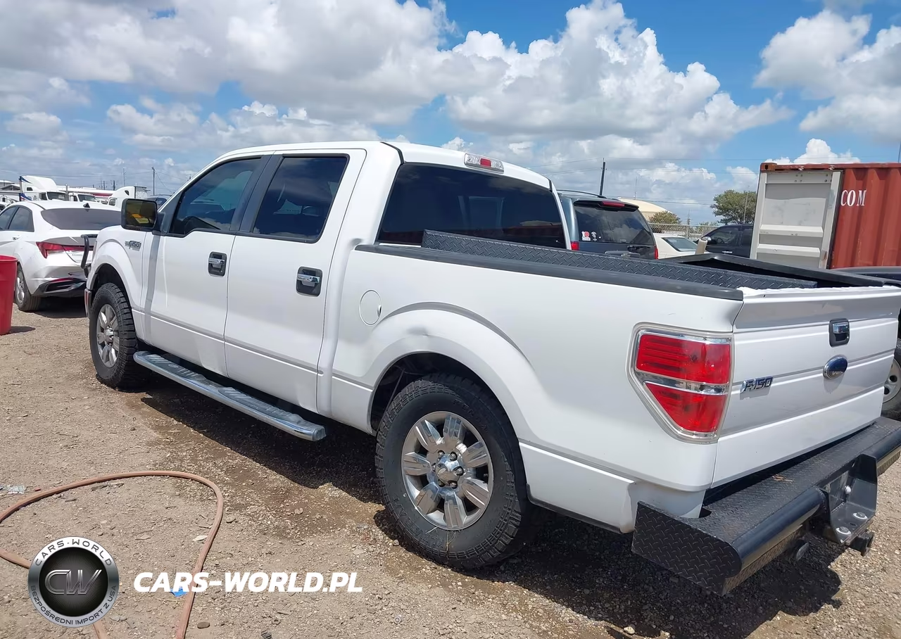2010 Ford F-150 VIN:1FTEW1C84AFB74177 - 3