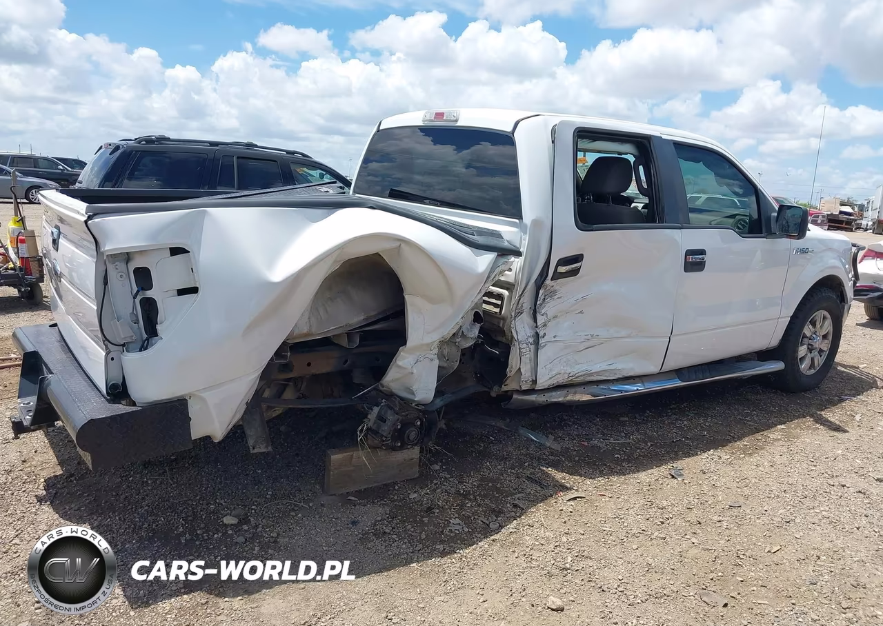 2010 Ford F-150 VIN:1FTEW1C84AFB74177 - 4