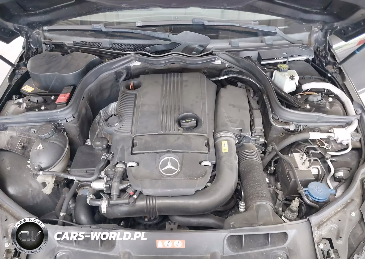 2014 Mercedes-Benz C 250 Luxury-Sport VIN:WDDGF4HB3EA959295 - 10