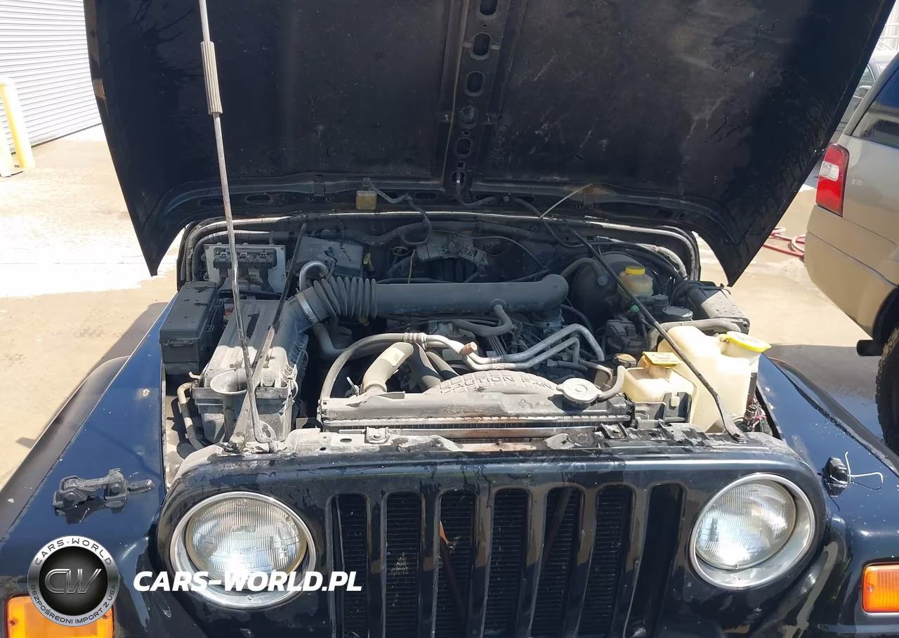 2002 Jeep Wrangler Sport VIN:1J4FA49S22P701050 - 10