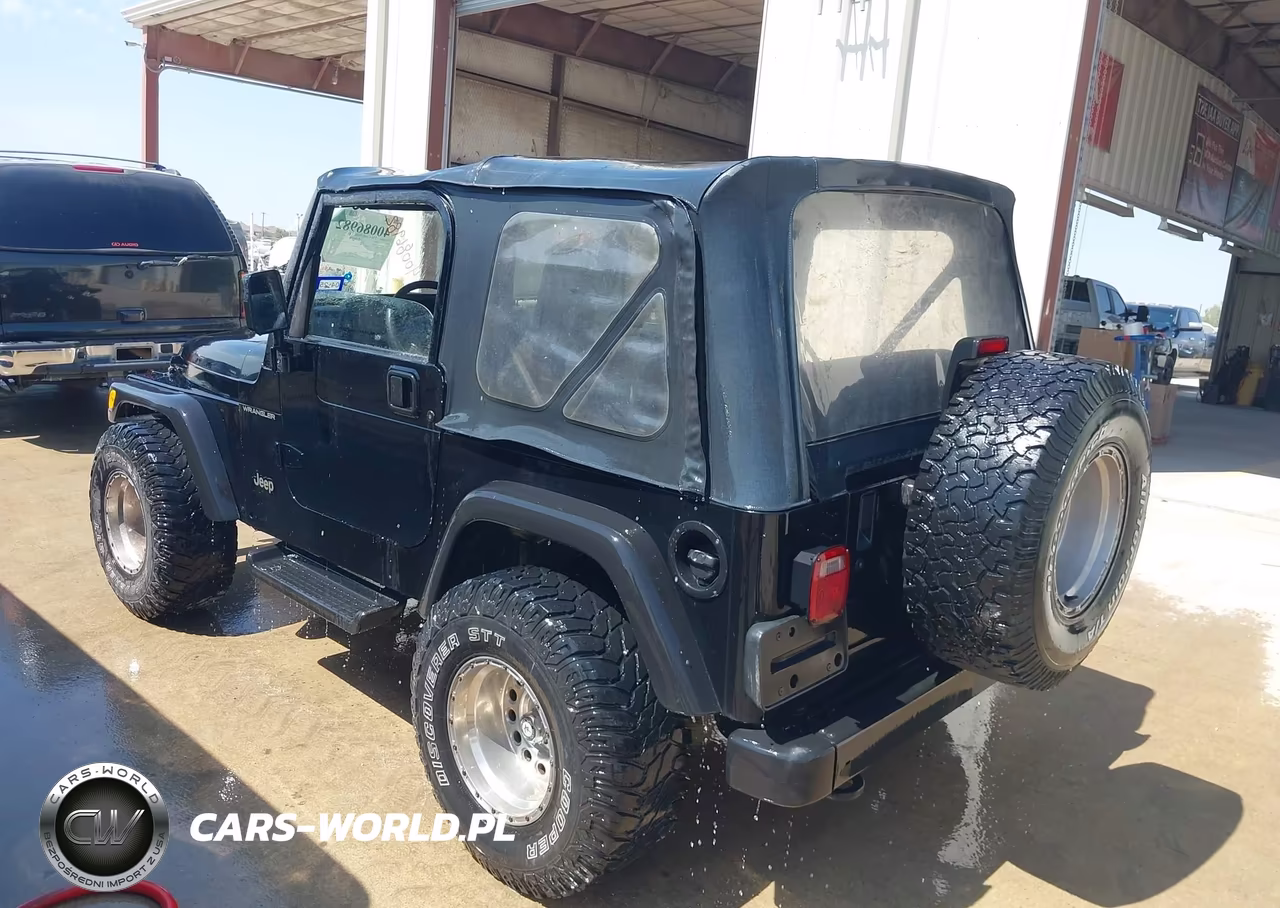 2002 Jeep Wrangler Sport VIN:1J4FA49S22P701050 - 3