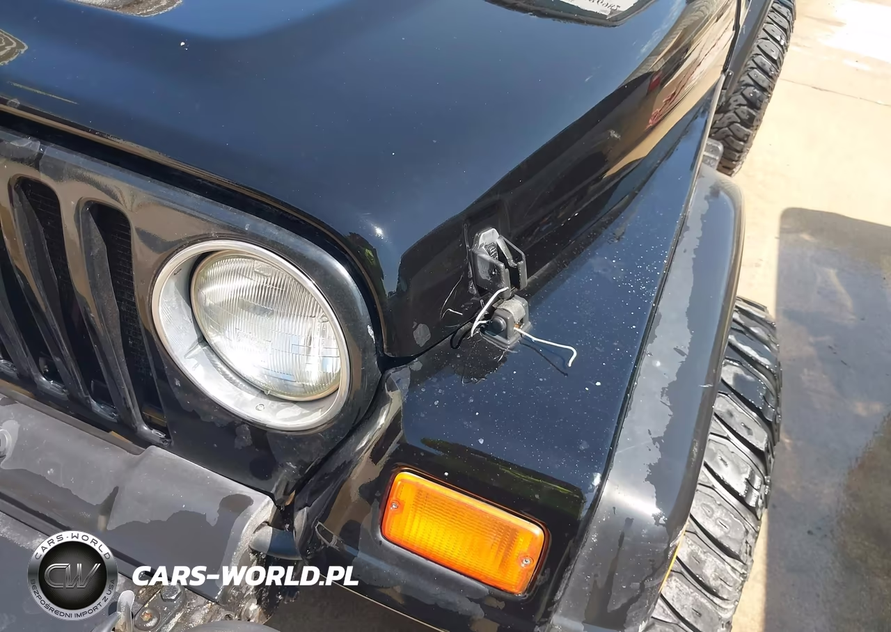 2002 Jeep Wrangler Sport VIN:1J4FA49S22P701050 - 6