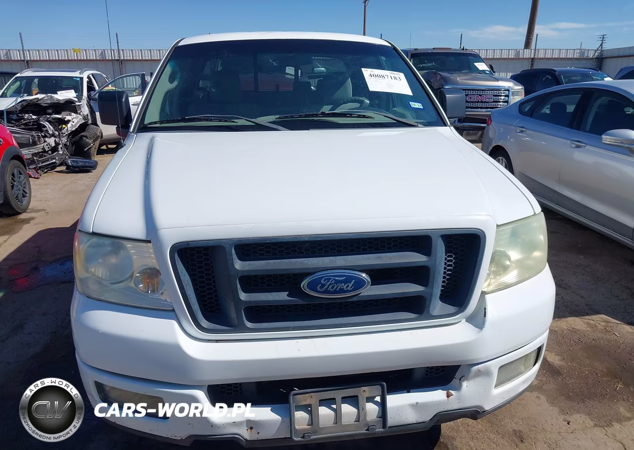 2004 Ford F-150 Stx-Xl-Xlt VIN:1FTRX12W04NC28454 - 11