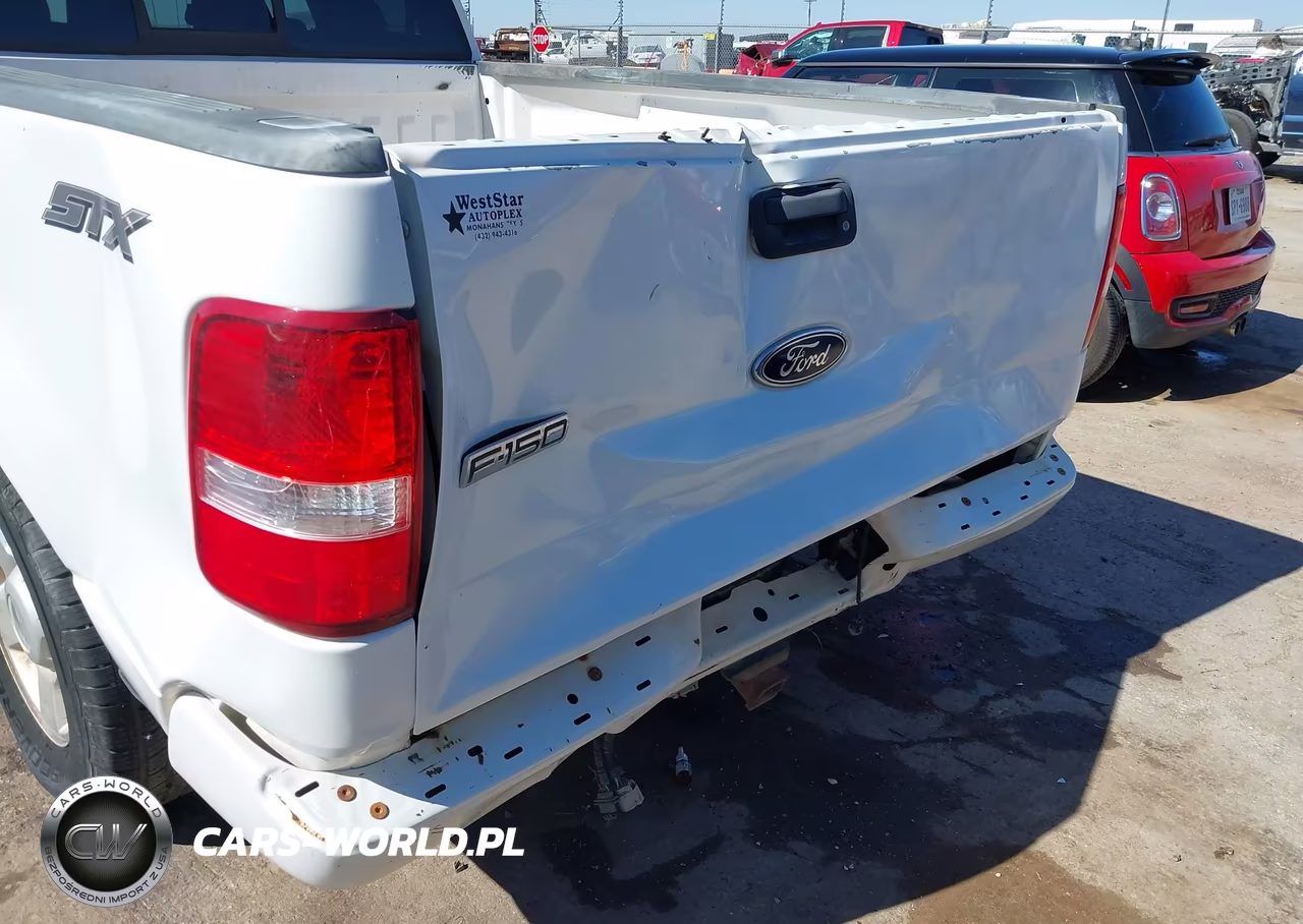 2004 Ford F-150 Stx-Xl-Xlt VIN:1FTRX12W04NC28454 - 6