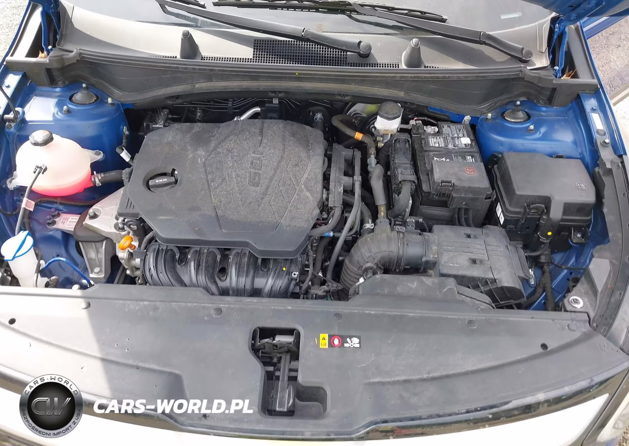 2023 Kia Sportage Ex VIN:5XYK33AF7PG078851 - 10