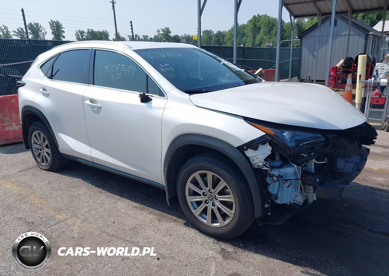 2021 Lexus Nx 300 VIN:JTJDARDZ8M5026136 - 1