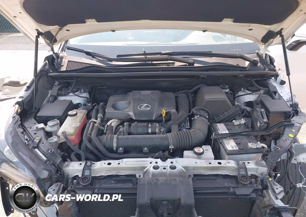 2021 Lexus Nx 300 VIN:JTJDARDZ8M5026136 - 10