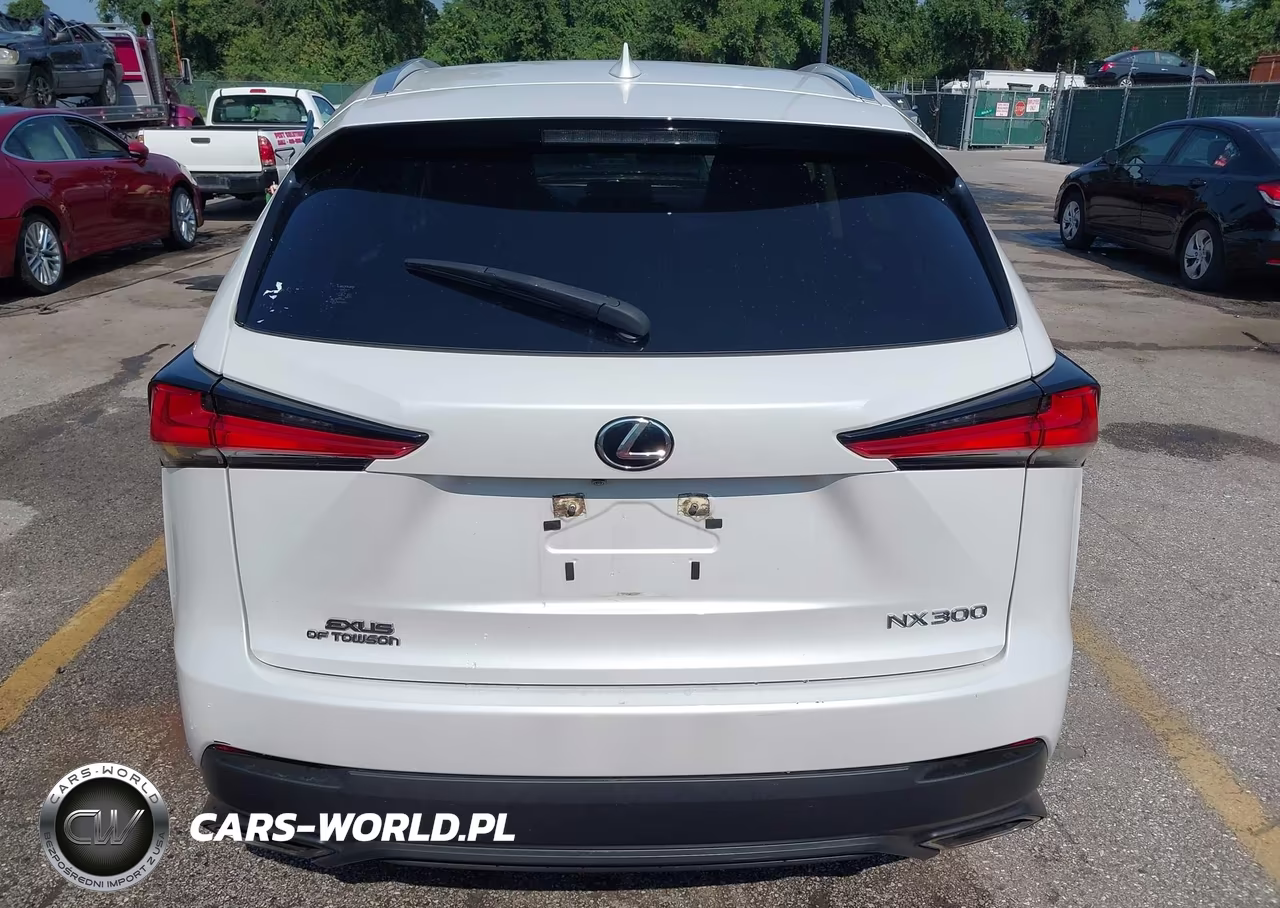 2021 Lexus Nx 300 VIN:JTJDARDZ8M5026136 - 16