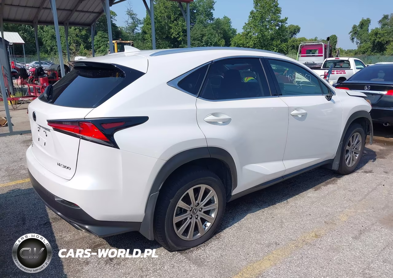 2021 Lexus Nx 300 VIN:JTJDARDZ8M5026136 - 4
