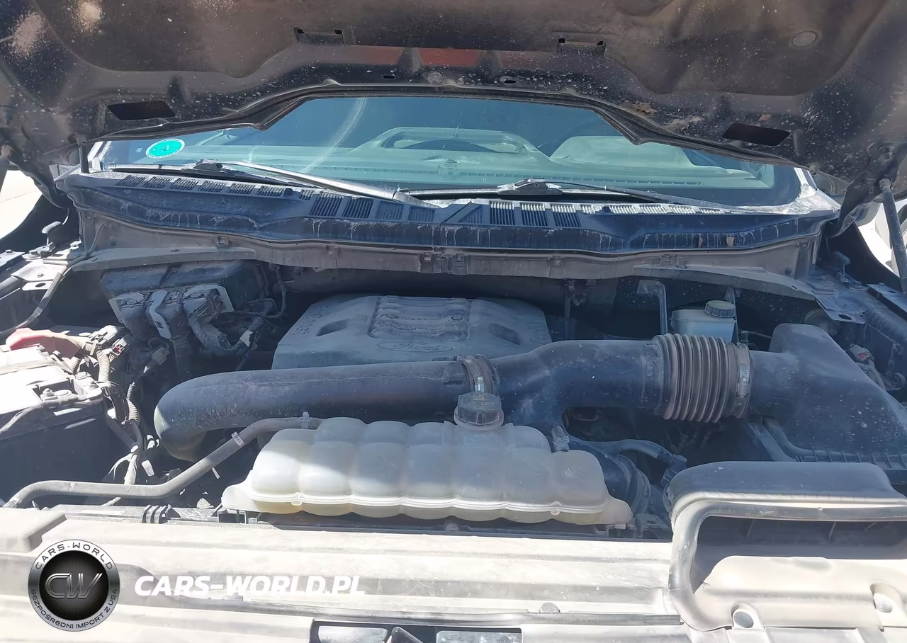2023 Ford F-150 Xlt VIN:1FTFW1E86PFA36456 - 10