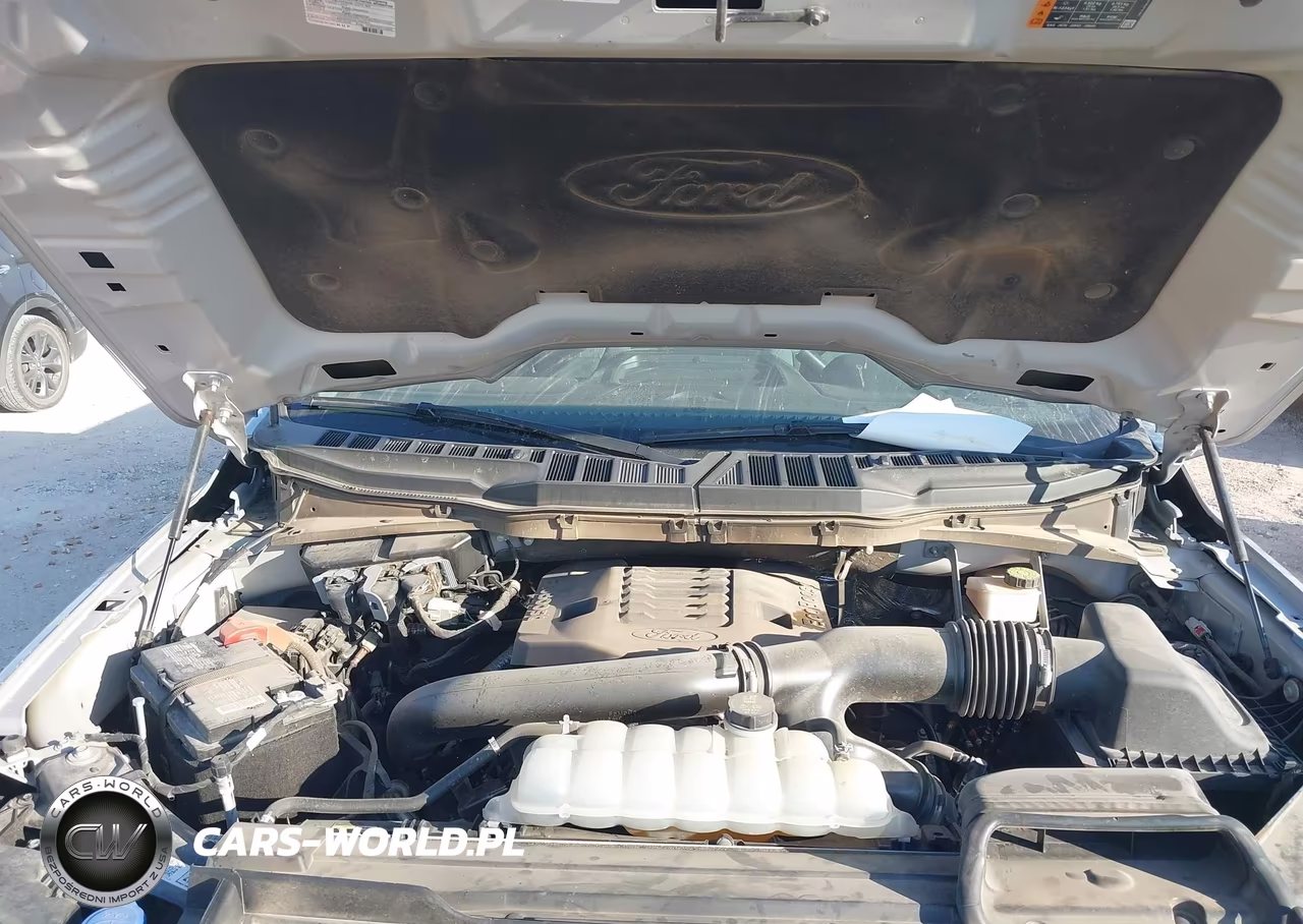 2023 Ford F150 Supercrew VIN:1FTEW1C85PKD69608 - 10