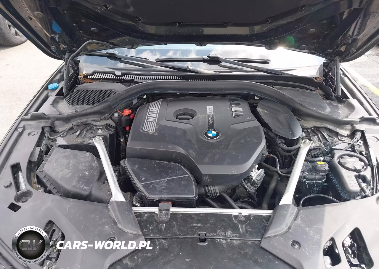 2019 BMW 530I VIN:WBAJA5C50KBX46636 - 10