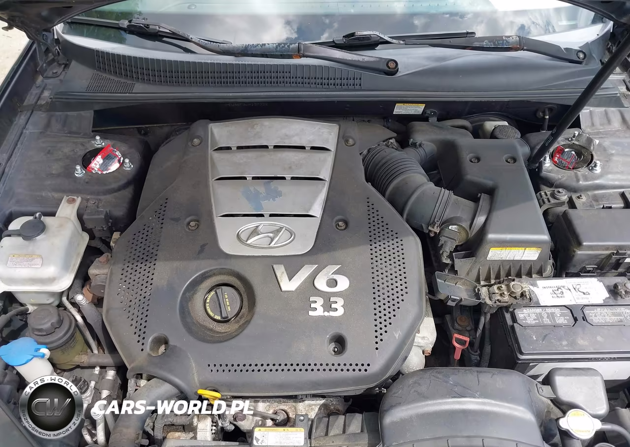 2006 Hyundai Sonata Gls V6-Lx V6 VIN:5NPEU46F56H137332 - 10