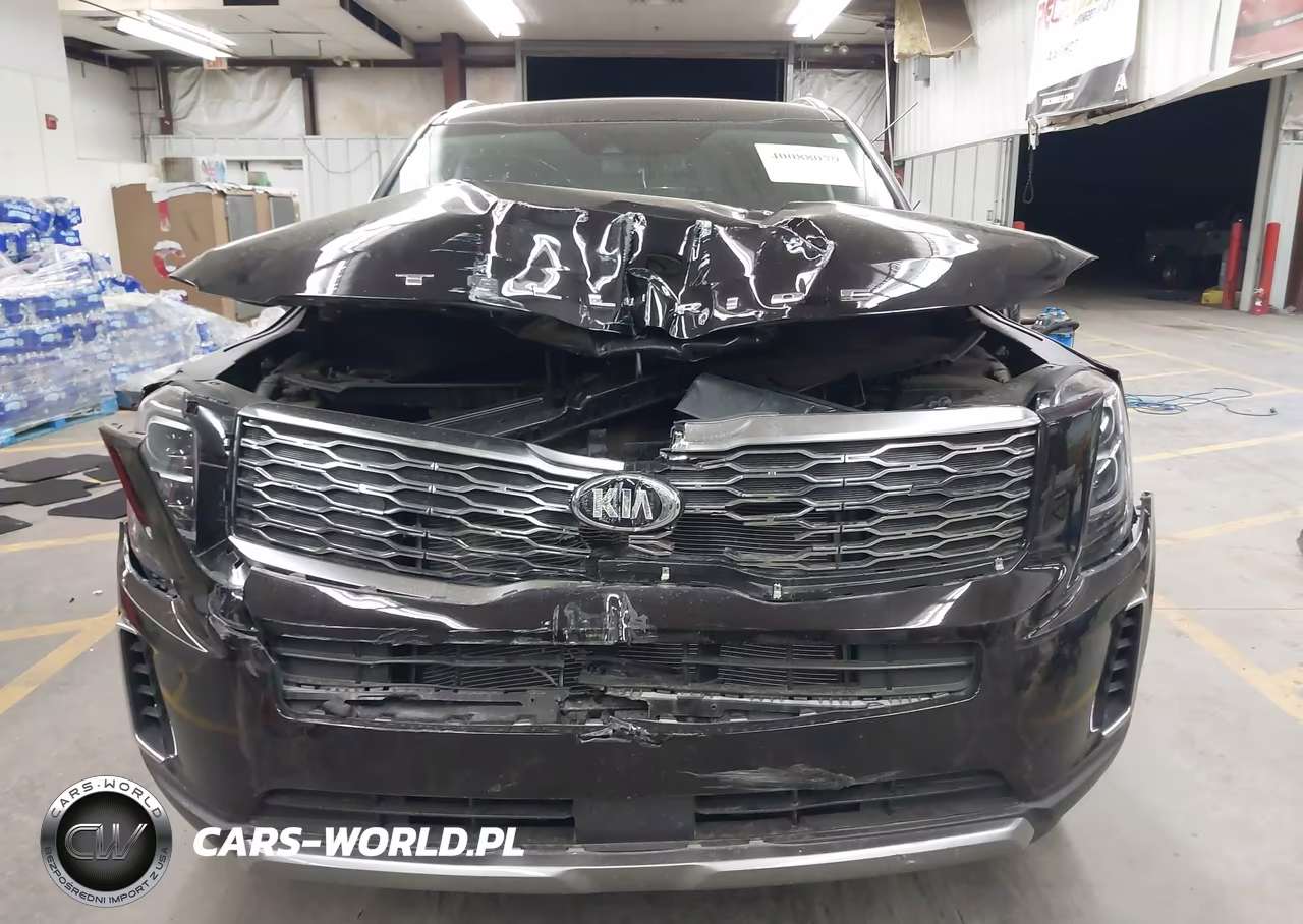 2021 Kia Telluride Ex VIN:5XYP34HC2MG188922 - 12