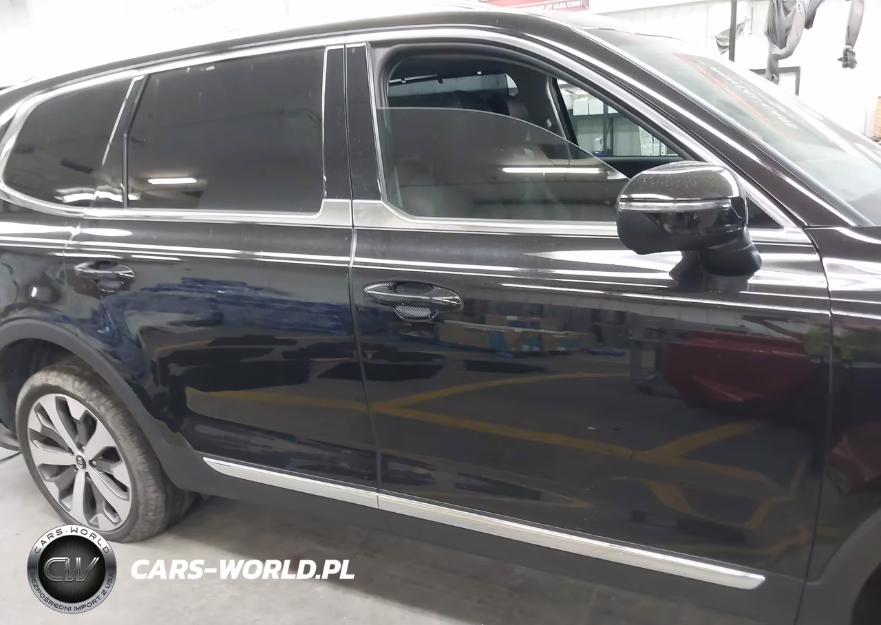2021 Kia Telluride Ex VIN:5XYP34HC2MG188922 - 13