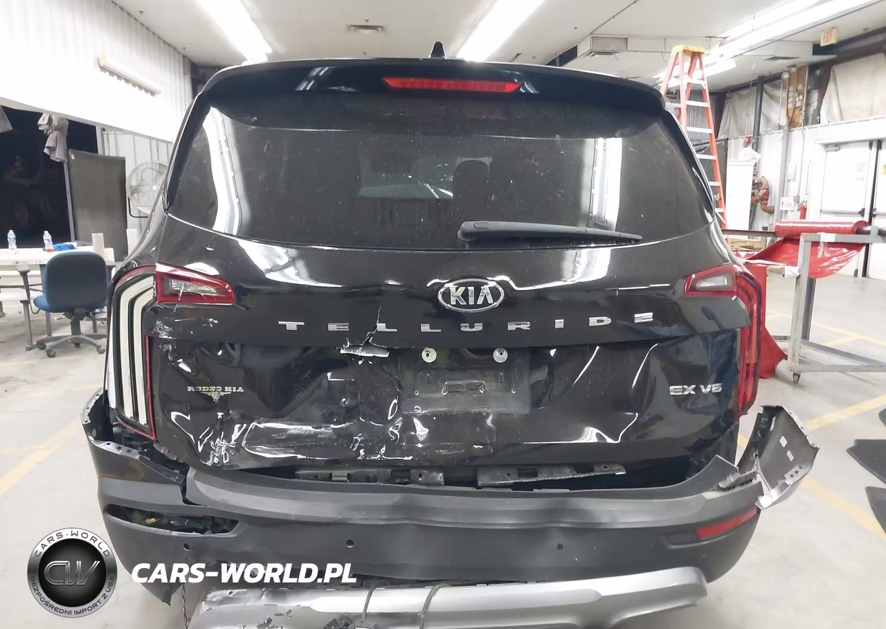 2021 Kia Telluride Ex VIN:5XYP34HC2MG188922 - 16