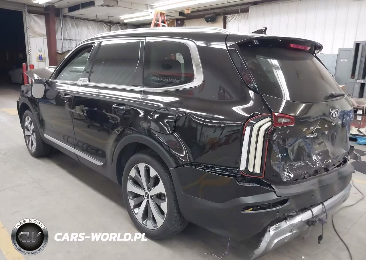 2021 Kia Telluride Ex VIN:5XYP34HC2MG188922 - 3