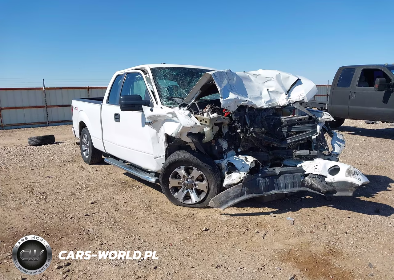 2013 Ford F-150 Stx VIN:1FTFX1CF4DFD81897 - 1