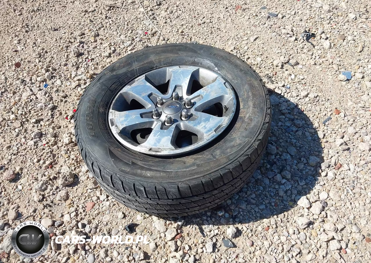 2013 Ford F-150 Stx VIN:1FTFX1CF4DFD81897 - 12