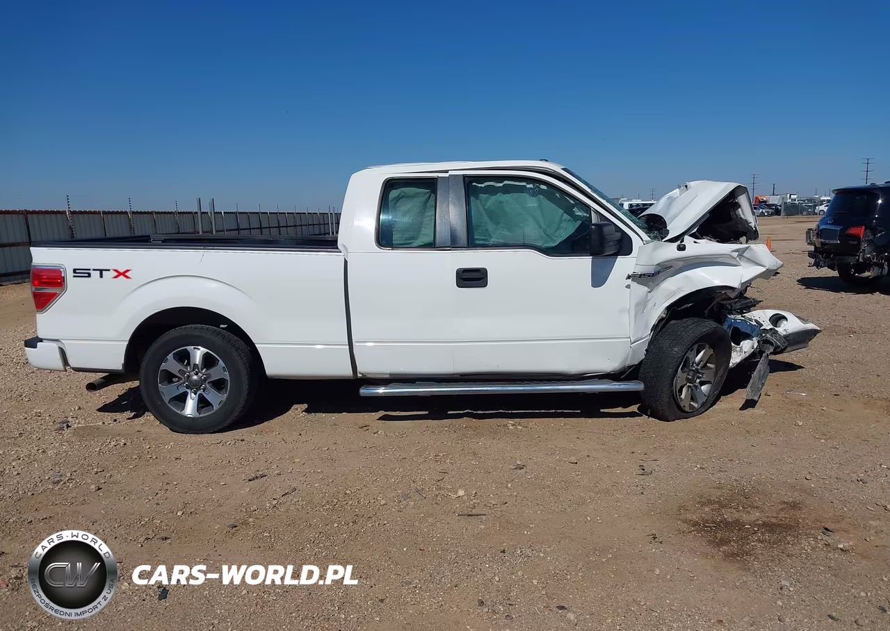 2013 Ford F-150 Stx VIN:1FTFX1CF4DFD81897 - 14