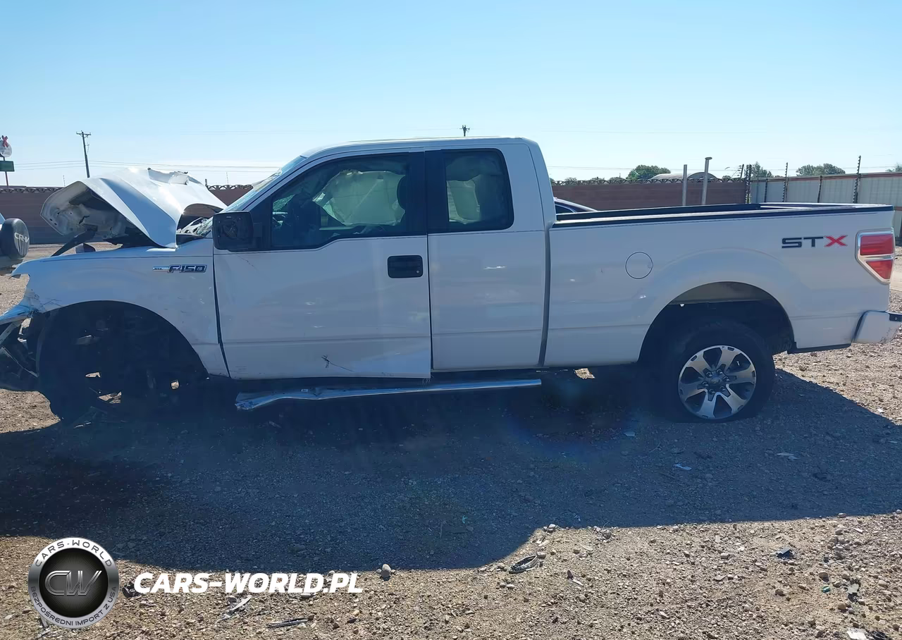 2013 Ford F-150 Stx VIN:1FTFX1CF4DFD81897 - 15