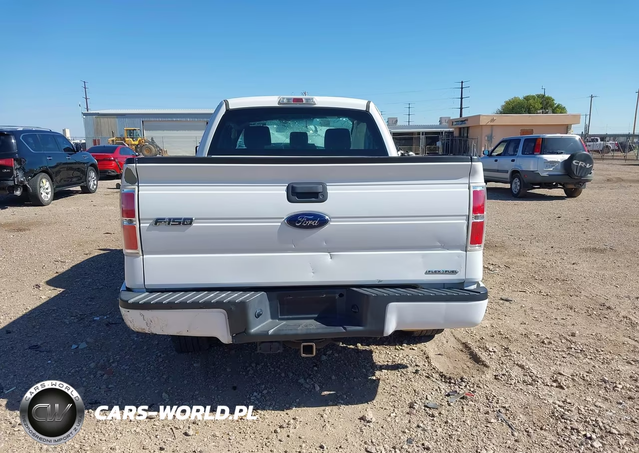 2013 Ford F-150 Stx VIN:1FTFX1CF4DFD81897 - 17