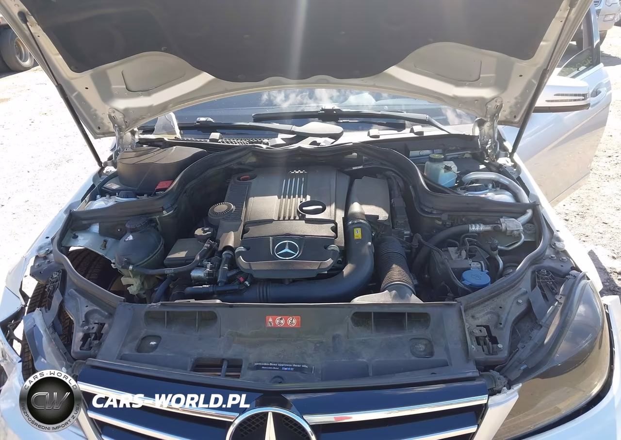 2014 Mercedes-Benz C 250 Luxury-Sport VIN:WDDGF4HBXEA961044 - 10