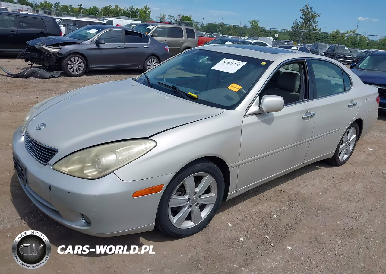 2005 Lexus Es 330 VIN:JTHBA30G955135149 - 2