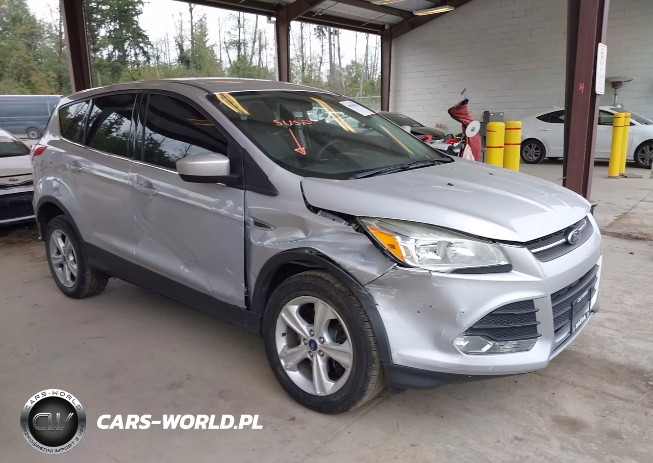 2014 Ford Escape Se VIN:1FMCU9G97EUA24060 - 1