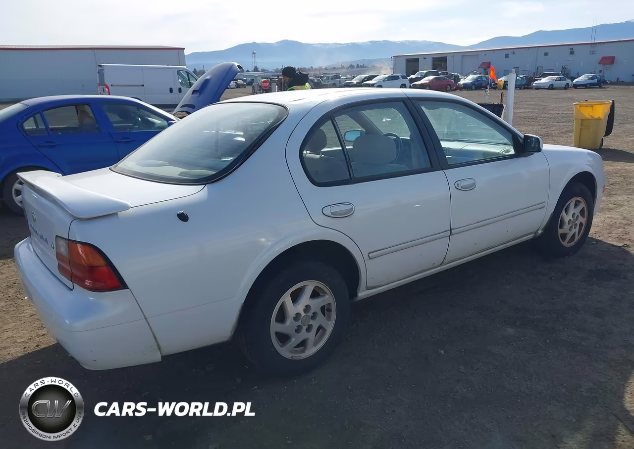 1996 Nissan Maxima Gle-Gxe-Se VIN:JN1CA21D2TT142847 - 4
