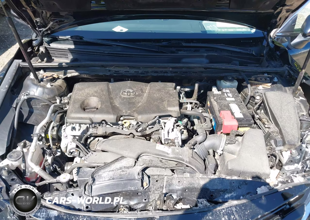 TOYOTA CAMRY VIN:4T1B11HK5JU562984 - 10