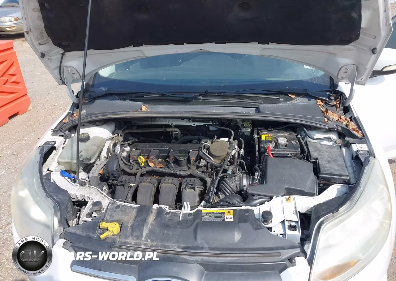 2014 Ford Focus Se VIN:1FADP3F23EL179945 - 10