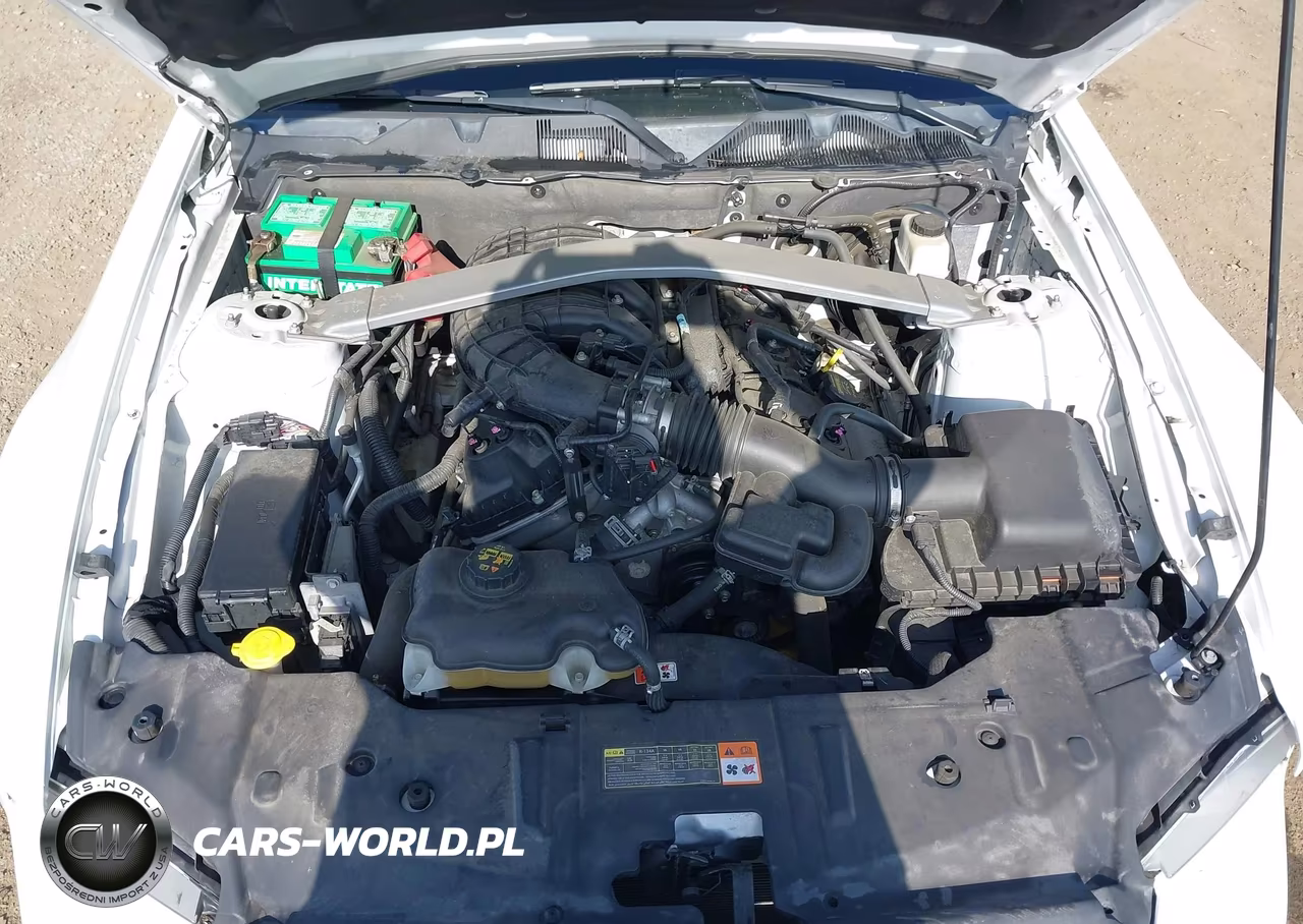 2014 Ford Mustang V6 Premium VIN:1ZVBP8EMXE5219943 - 10