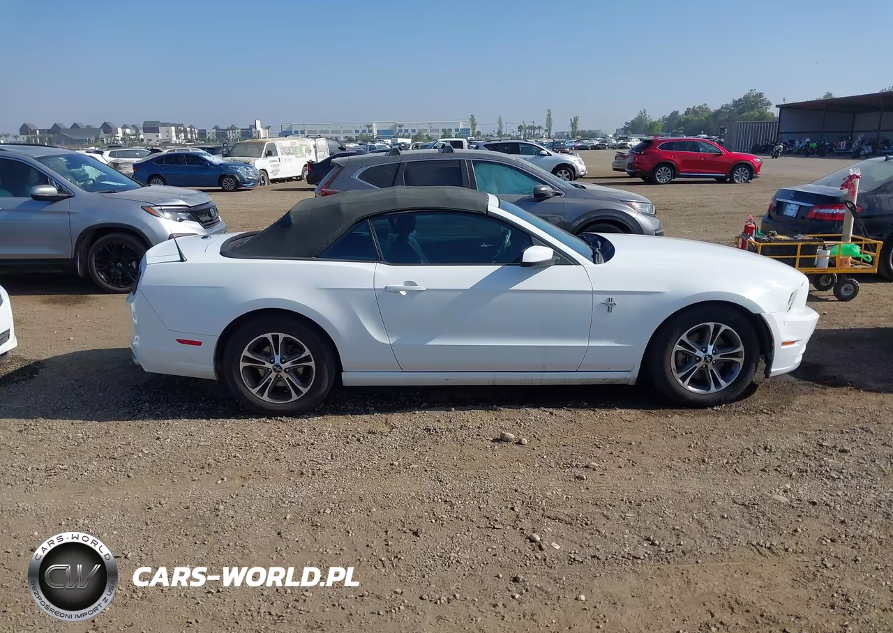 2014 Ford Mustang V6 Premium VIN:1ZVBP8EMXE5219943 - 13