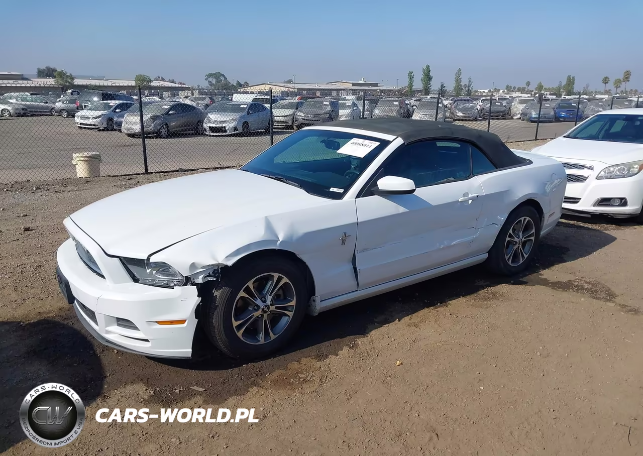 2014 Ford Mustang V6 Premium VIN:1ZVBP8EMXE5219943 - 2