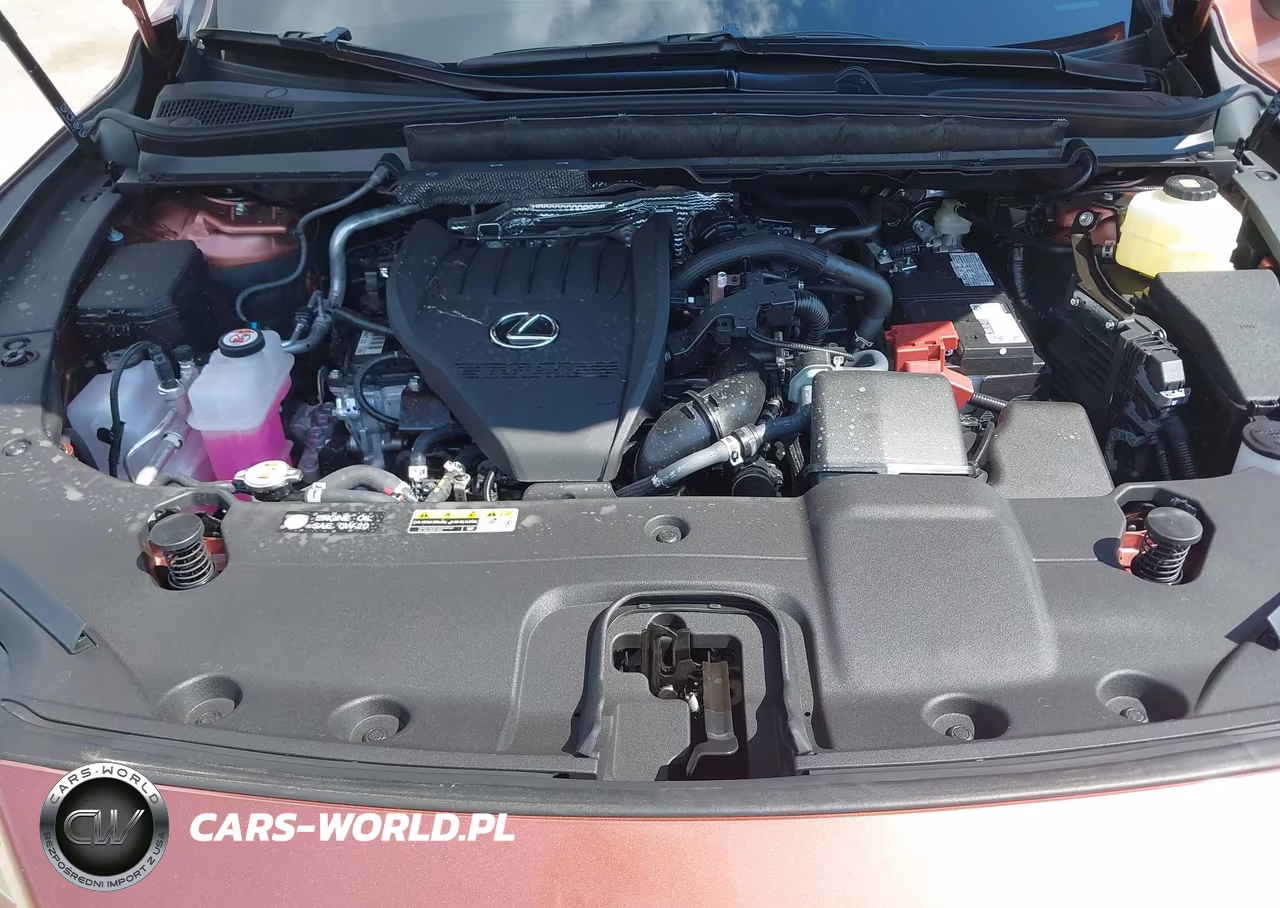 2024 Lexus Rx 350 350 Base-350 Premium-350 VIN:2T2BAMCAXRC075725 - 10