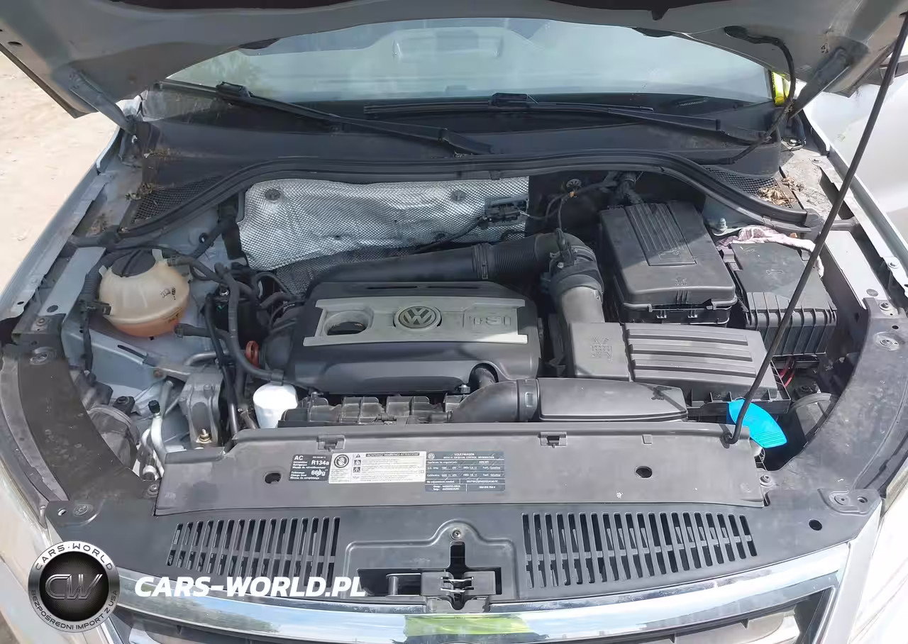 2010 Volkswagen Tiguan S VIN:WVGAV7AX5AW001164 - 10