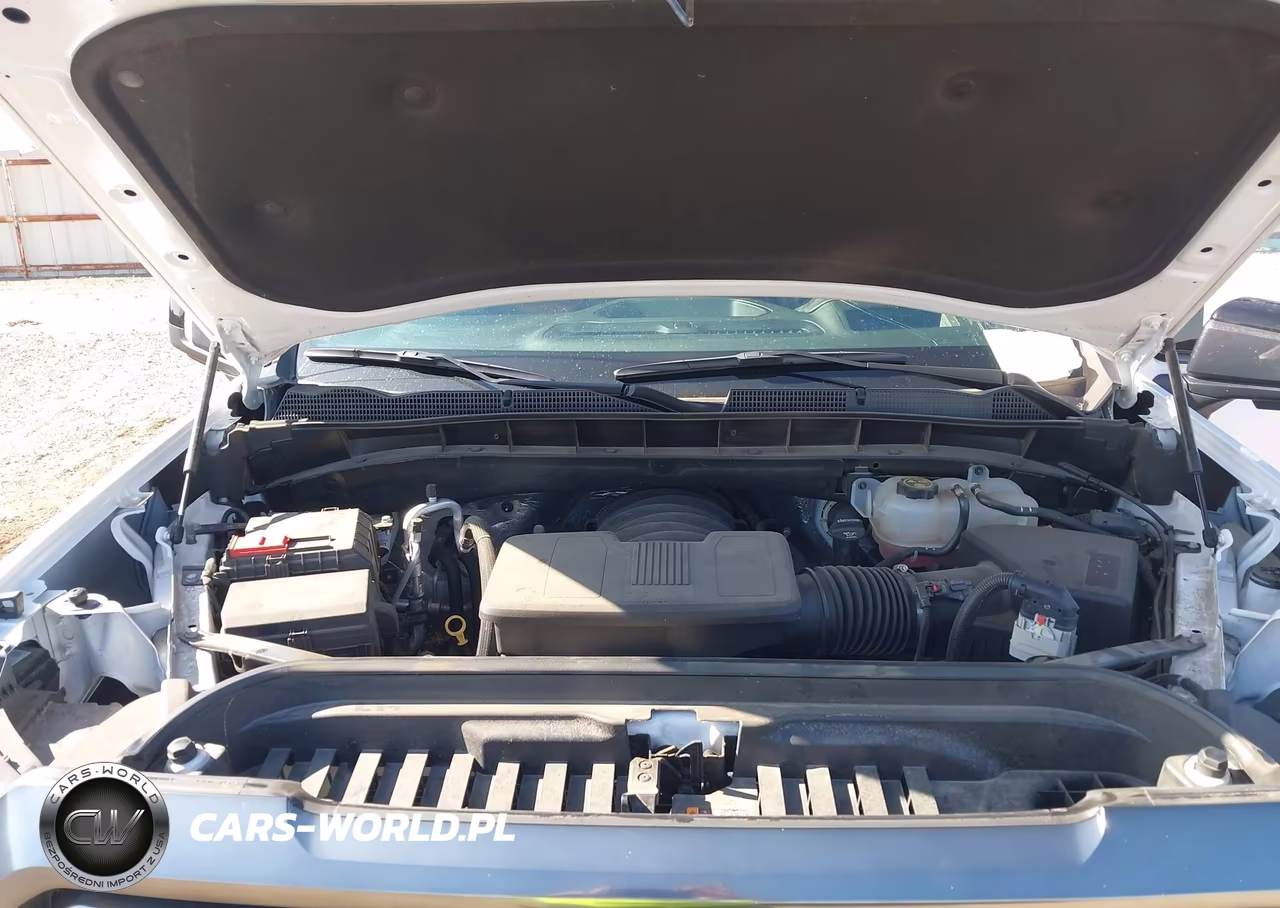GMC SIERRA 1500 VIN:1GTP9EEL1MZ163973 - 10