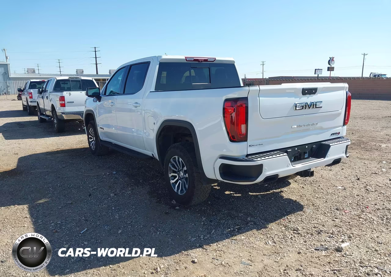 GMC SIERRA 1500 VIN:1GTP9EEL1MZ163973 - 3