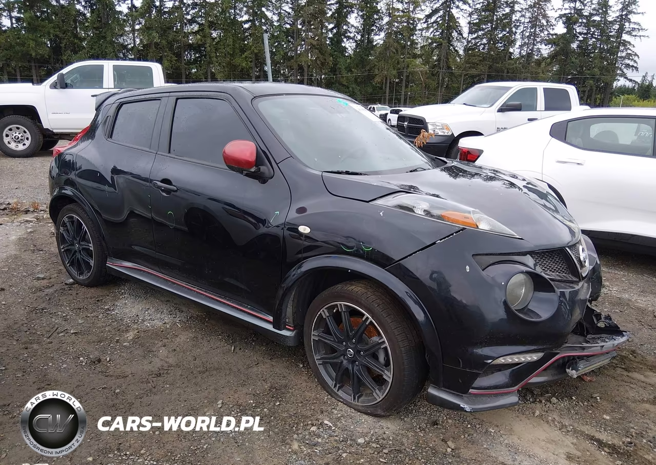 2013 Nissan Juke Nismo – zdjęcie 1 z 13