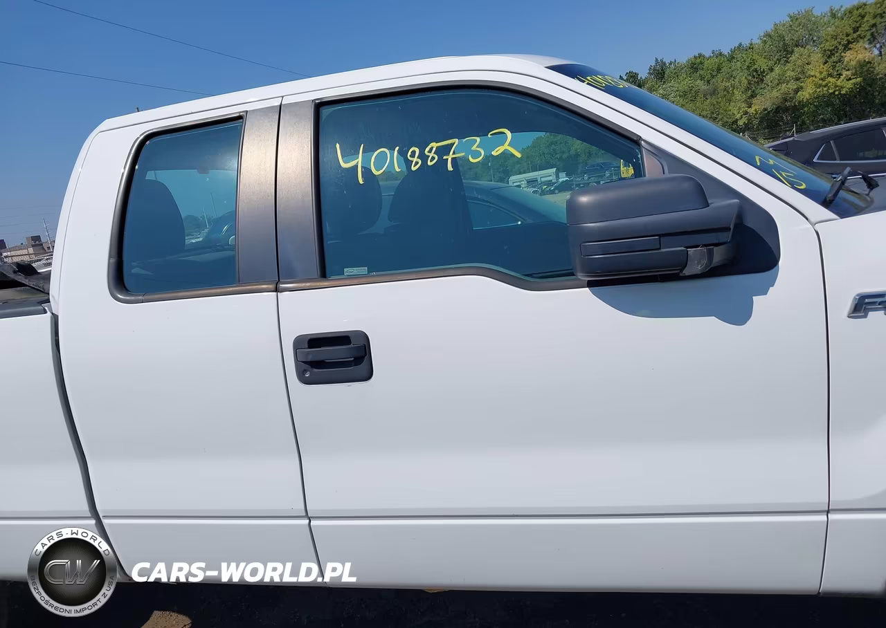2010 Ford F-150 Xl VIN:1FTEX1E87AFB38915 - 13