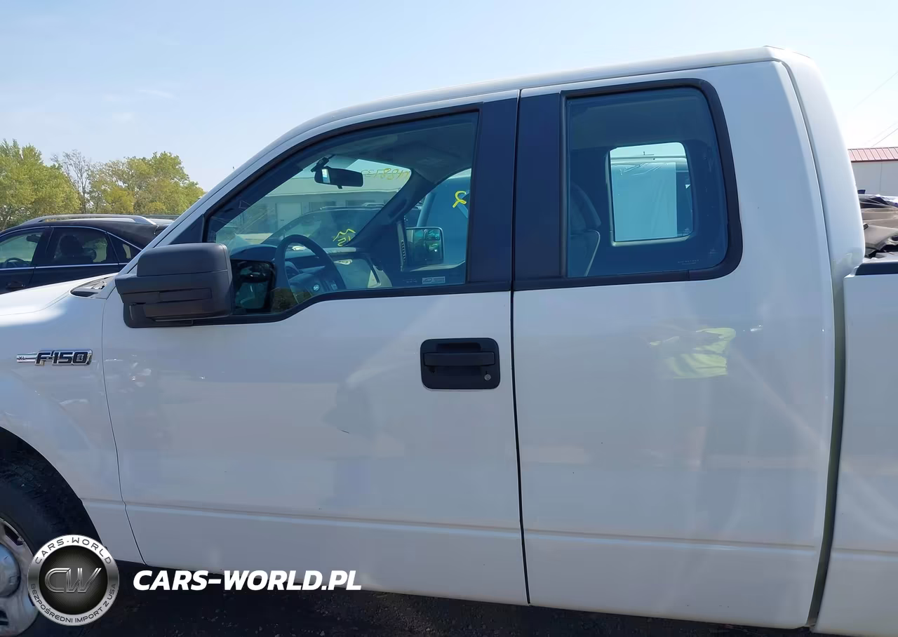 2010 Ford F-150 Xl VIN:1FTEX1E87AFB38915 - 14