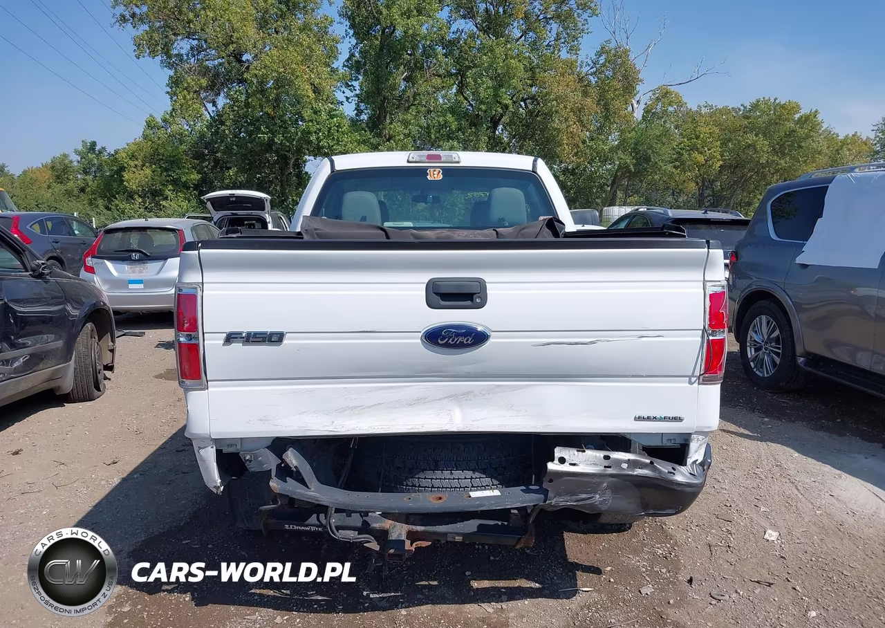 2010 Ford F-150 Xl VIN:1FTEX1E87AFB38915 - 16